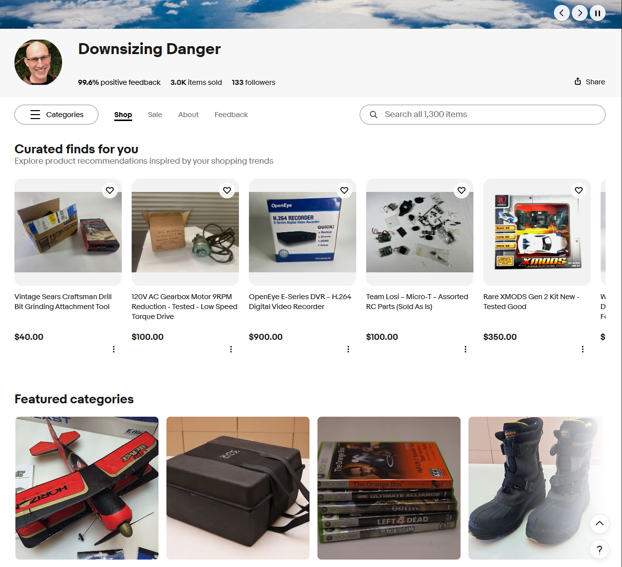 Downsizing Danger eBay storefront preview showing tools, collectibles, and featured categories